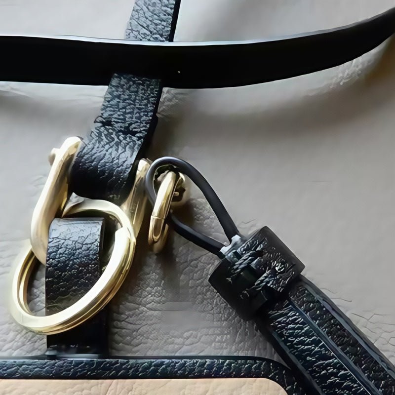 World famous paintings Artistic Charm Luxurious Leather Bag Accessory Handmade Full - Grain French Goatskin - Tomlynam